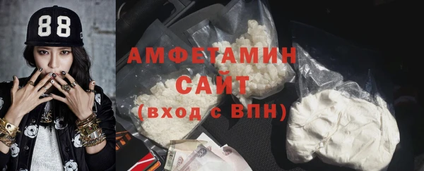 гашик Ельня