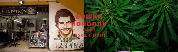 apvp Пестово