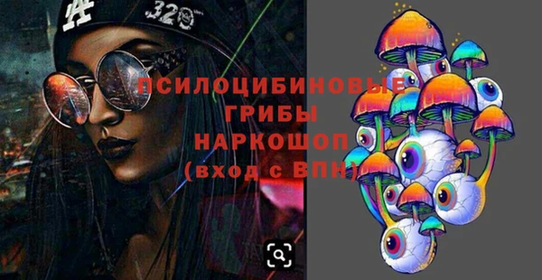 мдпв Туринск