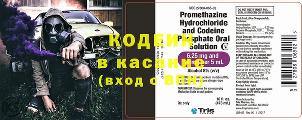 гашик Ельня