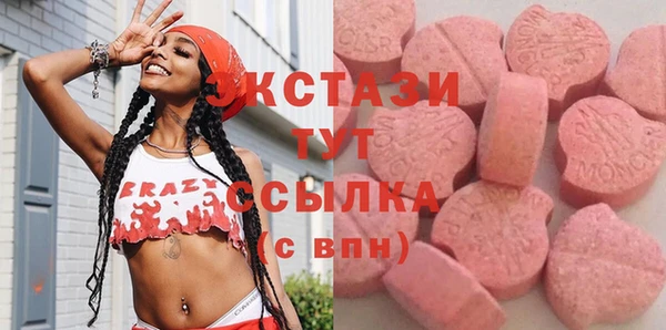 гашик Ельня