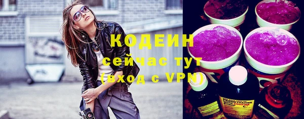 гашик Ельня
