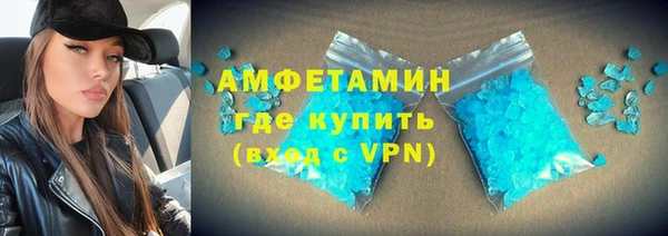 гашик Ельня