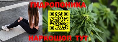 прущие грибы Жуковский