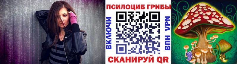 Псилоцибиновые грибы Magic Shrooms  купить   hydra зеркало  Сланцы 