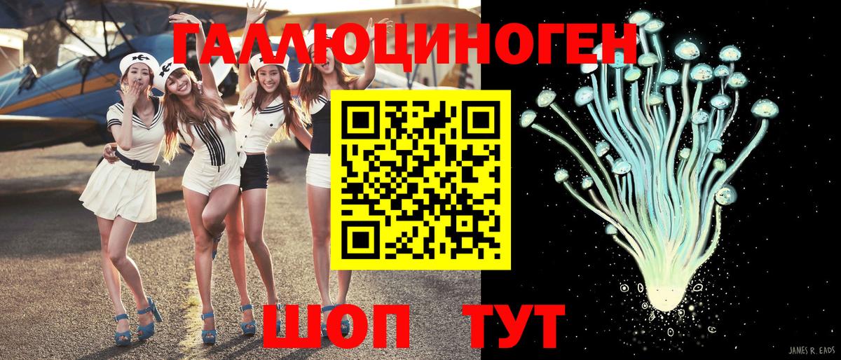 Сланцы  Галлюциногенные грибы GOLDEN TEACHER  Вход с VPN 