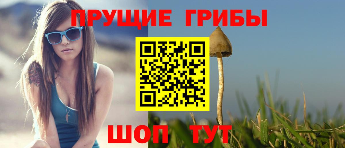 Псилоцибиновые грибы прущие грибы Сланцы